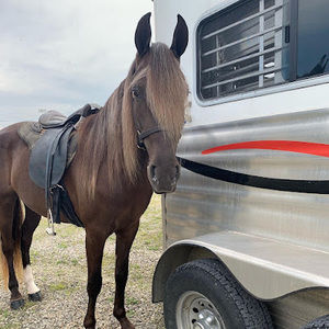 Meet your Posher, Mackenzie